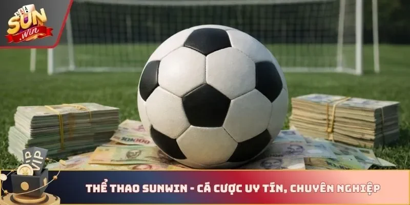Thể thao Sunwin - Cá cược uy tín, chuyên nghiệp